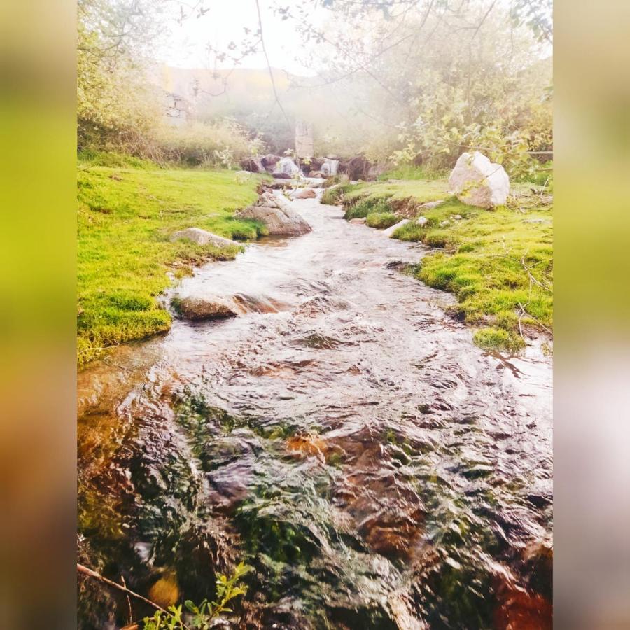 Robledillo El Eden De Javier 게스트하우스 외부 사진